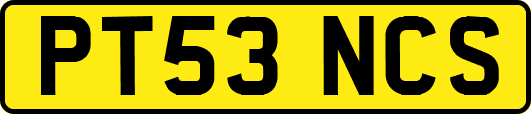 PT53NCS