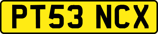 PT53NCX