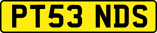 PT53NDS