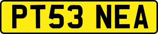 PT53NEA