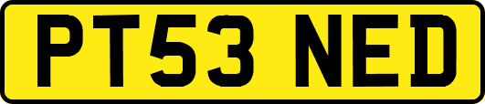 PT53NED