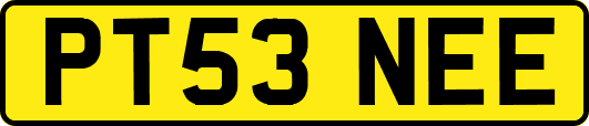 PT53NEE