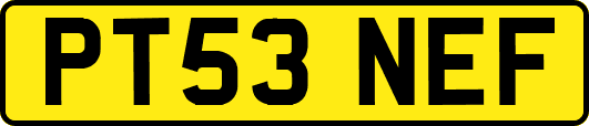 PT53NEF