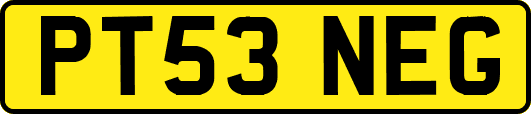 PT53NEG