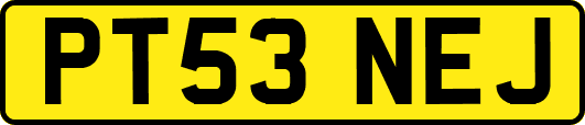 PT53NEJ