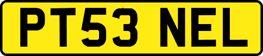 PT53NEL