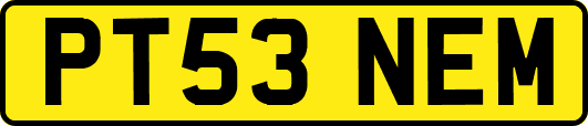 PT53NEM