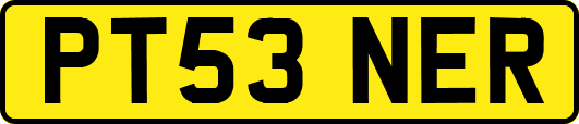 PT53NER