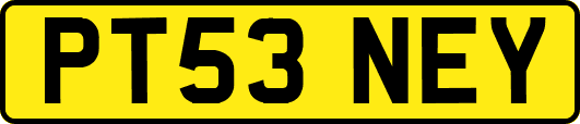 PT53NEY