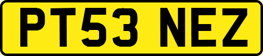 PT53NEZ