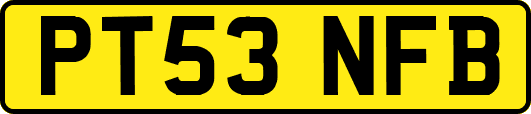 PT53NFB