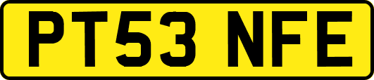 PT53NFE