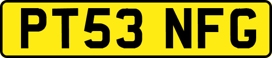 PT53NFG