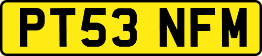 PT53NFM