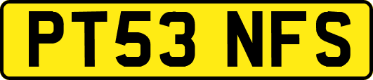 PT53NFS