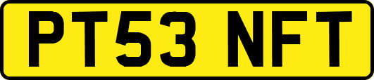 PT53NFT