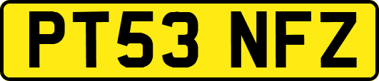 PT53NFZ