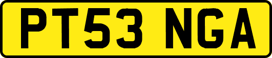 PT53NGA