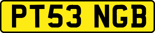 PT53NGB