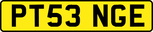 PT53NGE