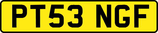 PT53NGF