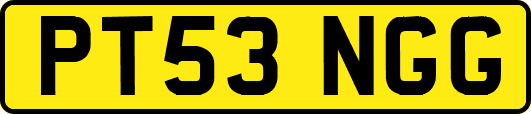 PT53NGG