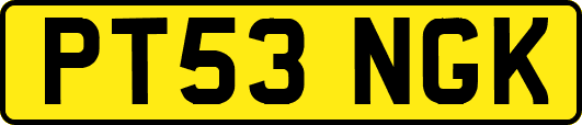 PT53NGK