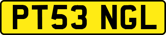 PT53NGL