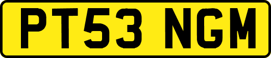PT53NGM