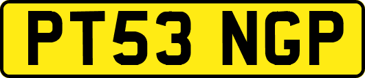 PT53NGP