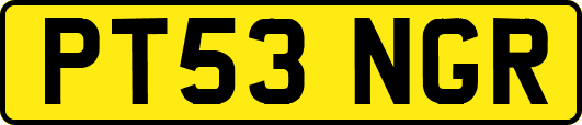PT53NGR