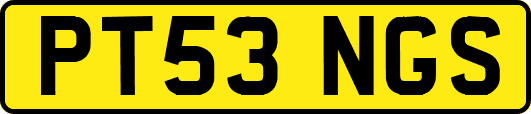 PT53NGS