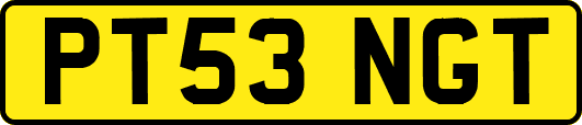 PT53NGT