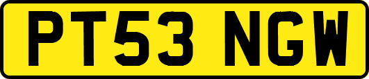 PT53NGW