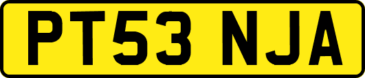 PT53NJA