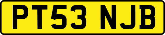 PT53NJB