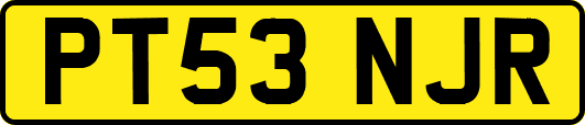 PT53NJR