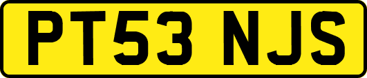 PT53NJS