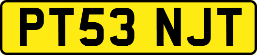PT53NJT