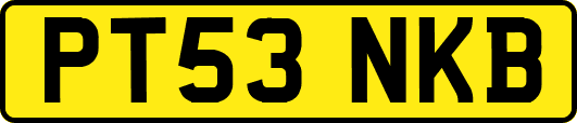 PT53NKB