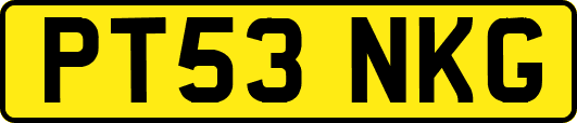 PT53NKG