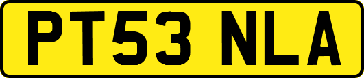 PT53NLA