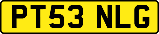 PT53NLG