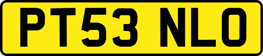 PT53NLO
