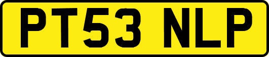 PT53NLP
