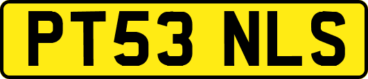 PT53NLS