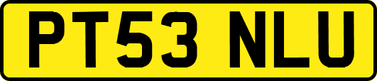 PT53NLU