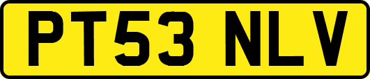 PT53NLV