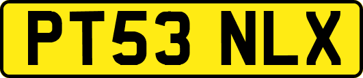 PT53NLX