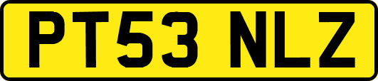 PT53NLZ